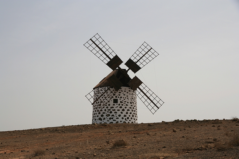 Kanary_2010 164